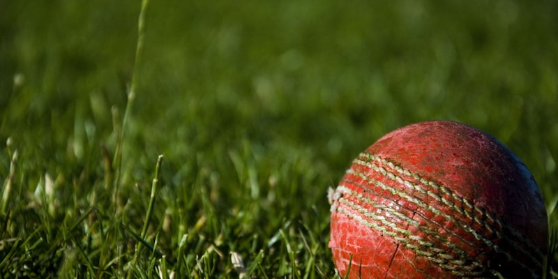 加拿大温哥华BC Place体育场内部座椅与顶棚结构